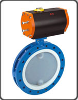 Válvula Borboleta Teflon